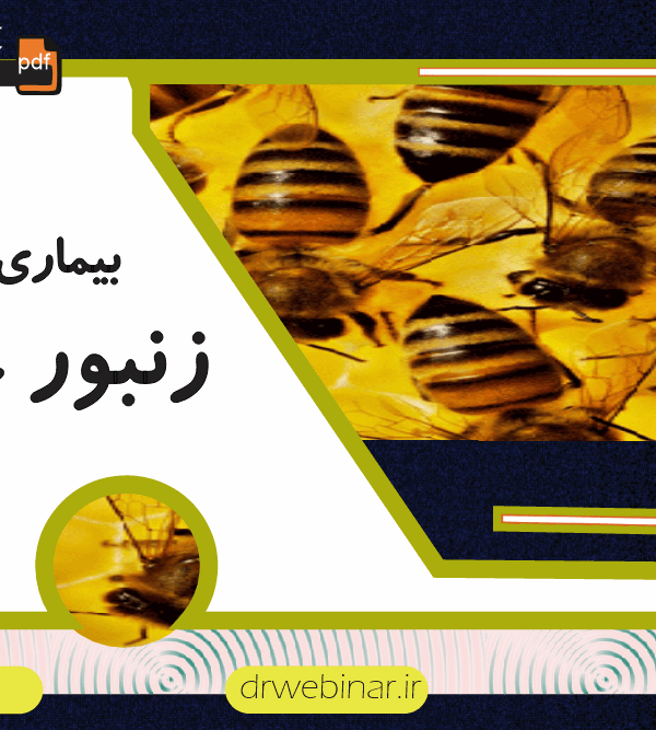 بیماری های زنبور عسل