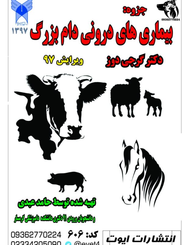 بیماری‌های داخلی دام بزرگ (تایپی)