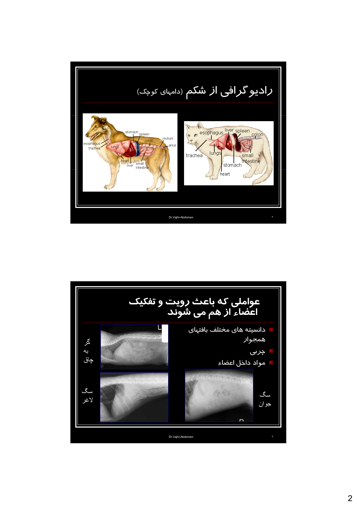 -مناسب-امتحان-تخصص-دکتر-وجهی-رادیولوژی-1e517a6b-p03.png